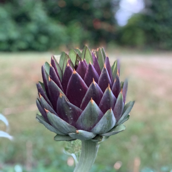 Meet your Posher, Marina - Picture 1 of 1